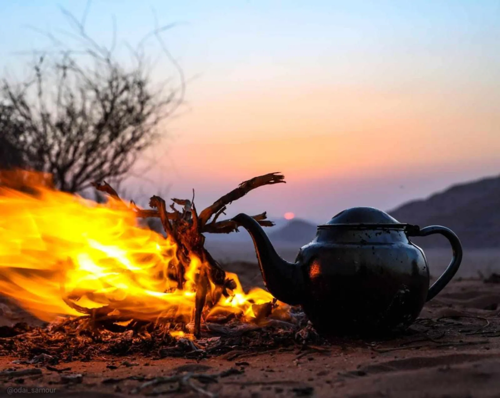 Wadi Rum: Morning or Sunset 4x4 Jeep Tour